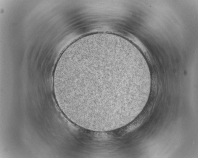 X0000089380807200707061137