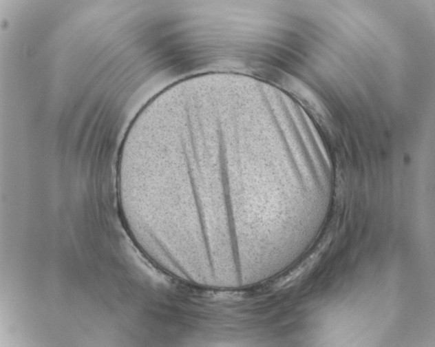 X0000089380808200707061137