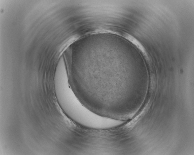 X0000089380809200707061137