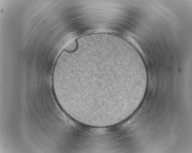 X0000089380810200707061137