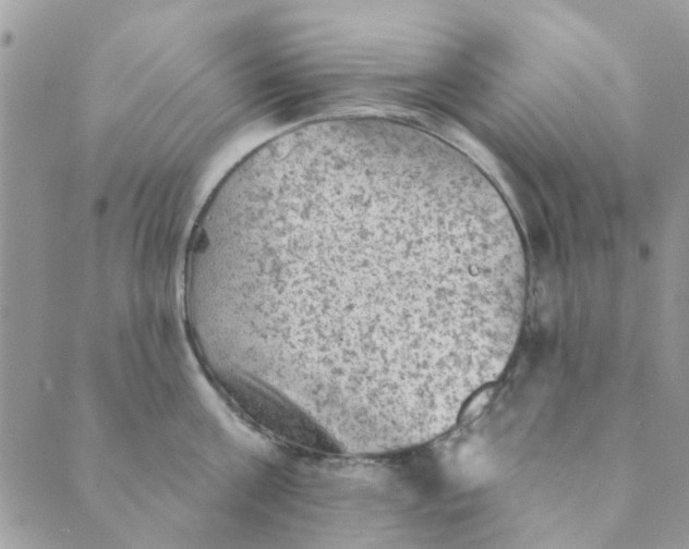 X0000089380811200707061137