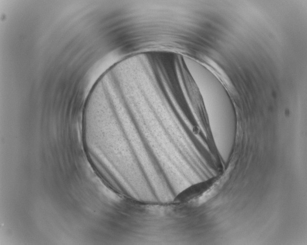 X0000089380812200707061137