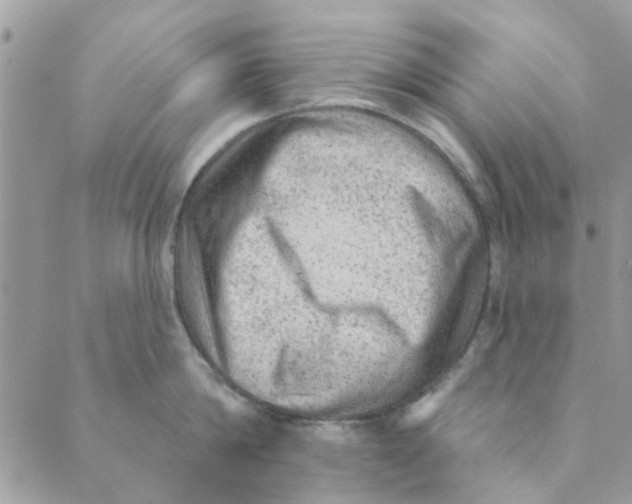 X0000089380814200707061137