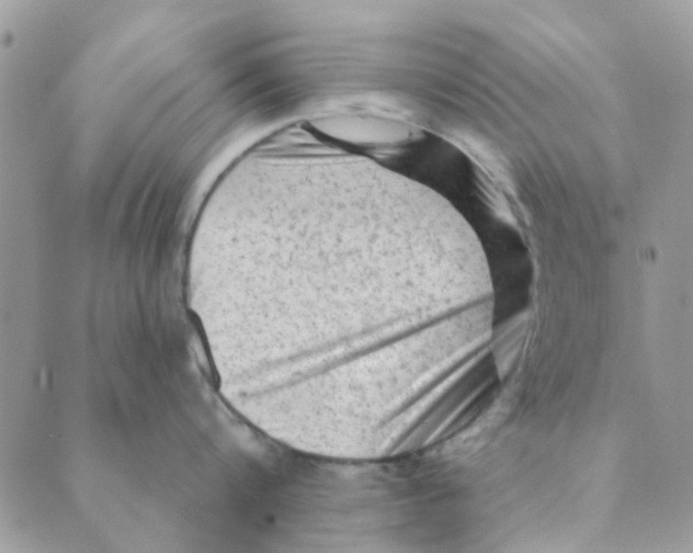 X0000089380816200707061137