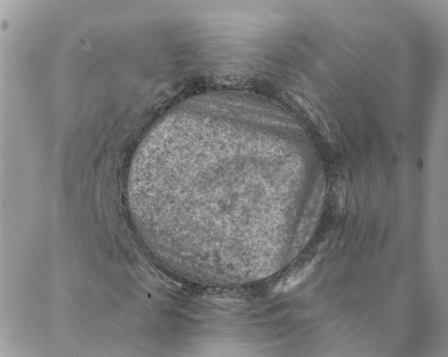 X0000089380817200707061136