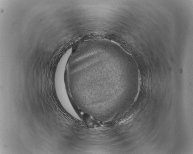 X0000089380818200707061136