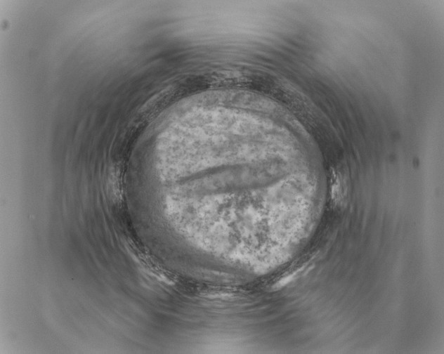 X0000089380819200707061137