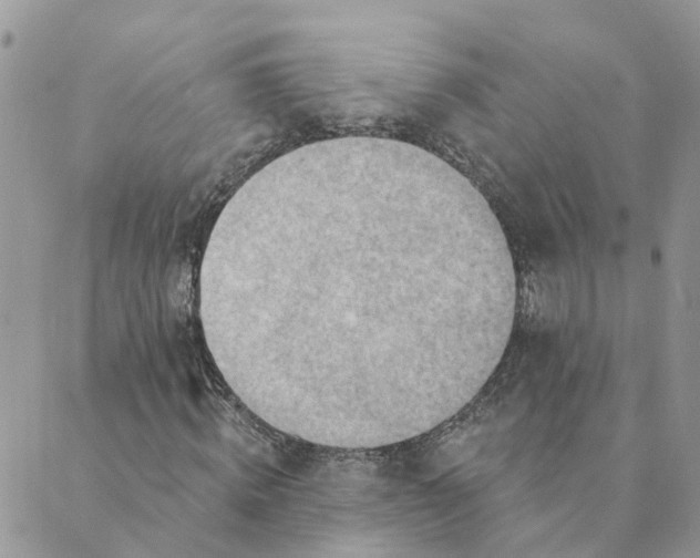 X0000089380820200707061137