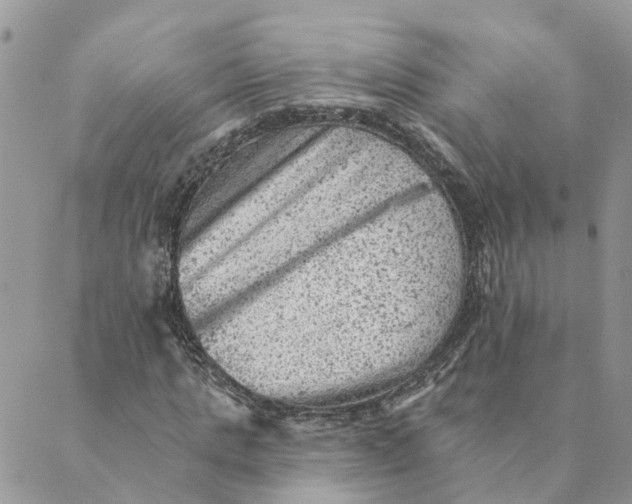 X0000089380821200707061137