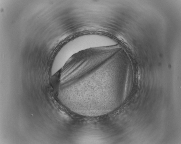 X0000089380822200707061137