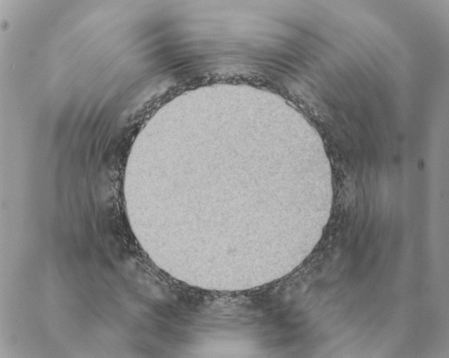 X0000089380824200707061137