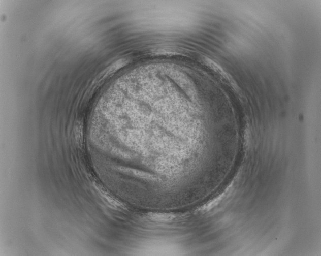 X0000089380825200707061137