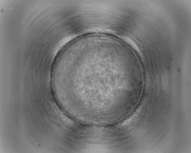 X0000089380831200707061137