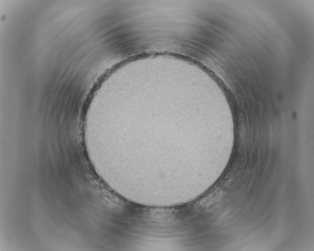 X0000089380832200707061137