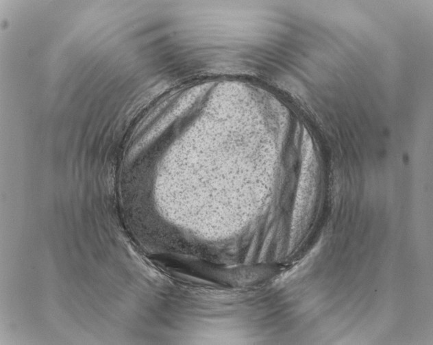 X0000089380833200707061137