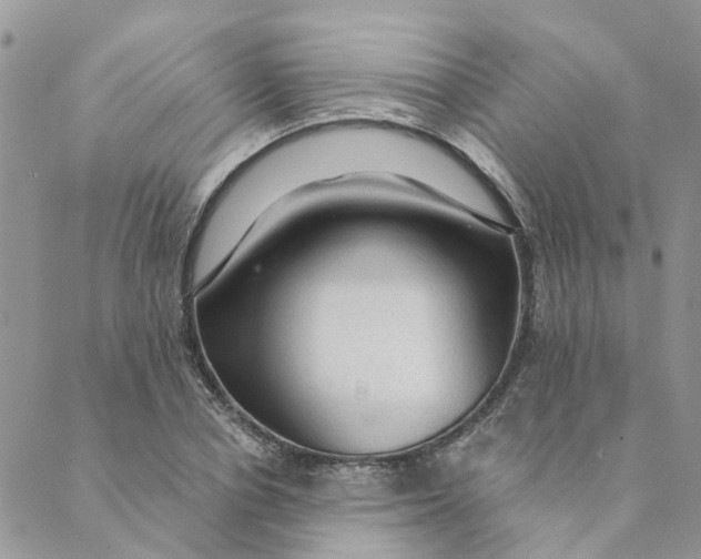 X0000089380834200707061137