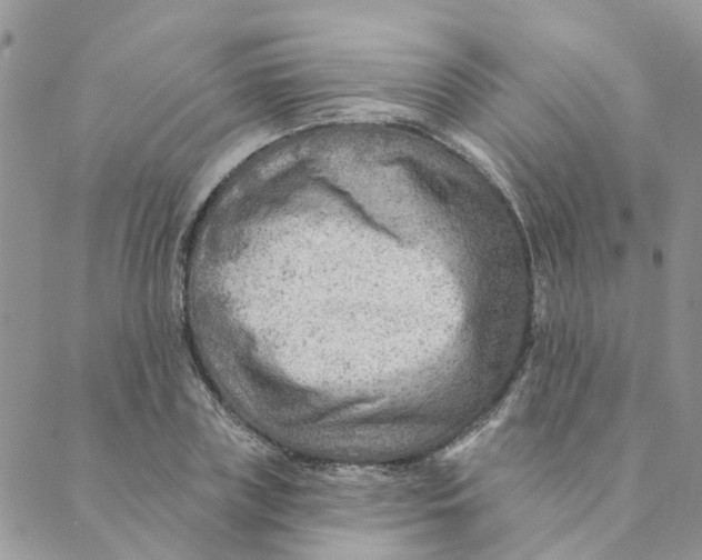 X0000089380835200707061137