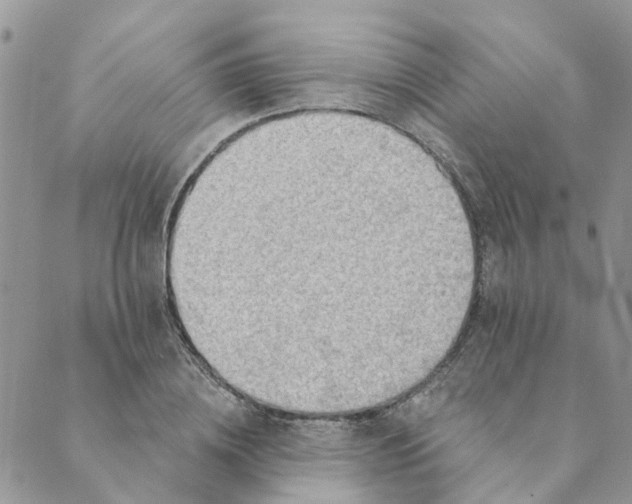 X0000089380836200707061137