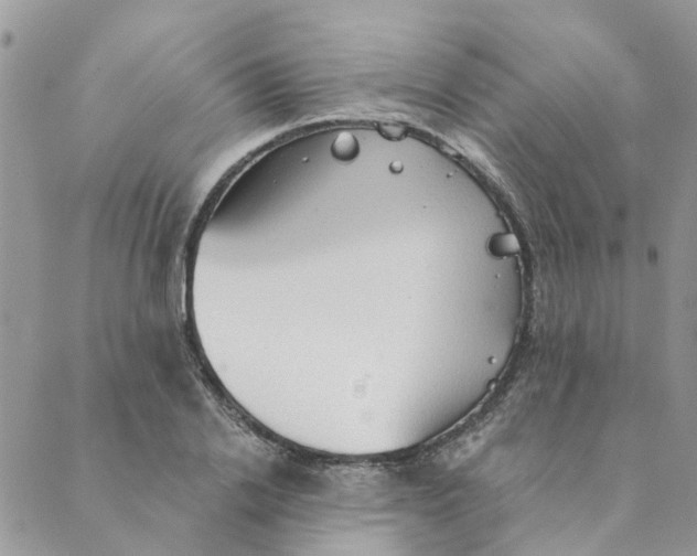 X0000089380838200707061137