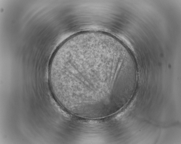 X0000089380839200707061137