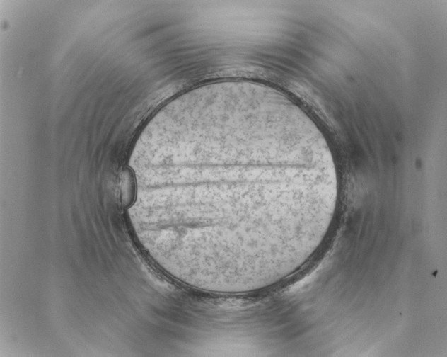 X0000089380841200707061137