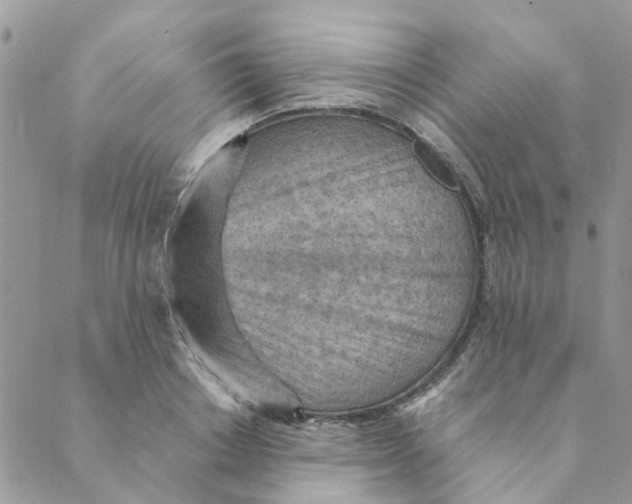 X0000089380842200707061137