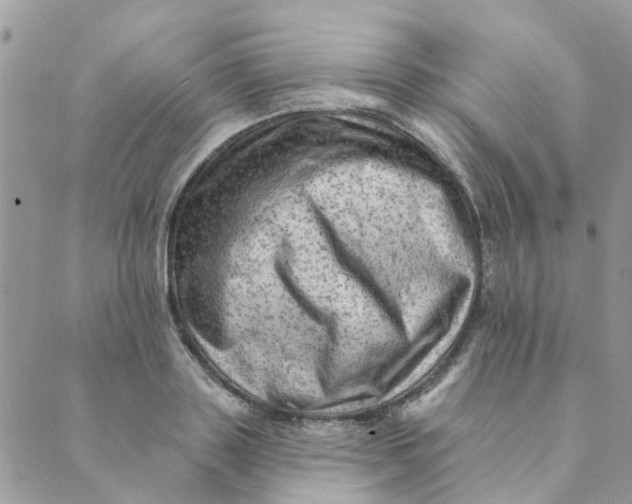 X0000089380843200707061137