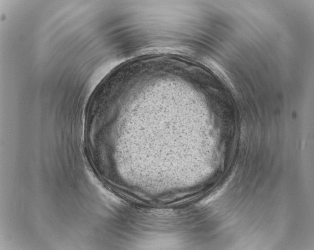 X0000089380844200707061137