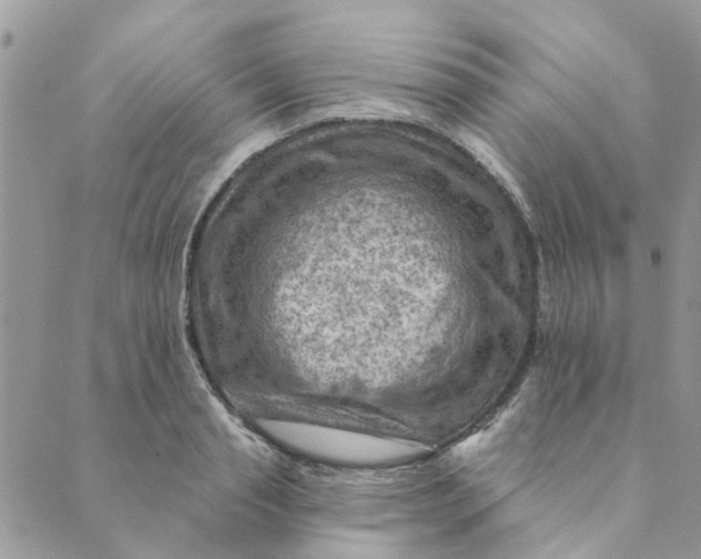 X0000089380845200707061137