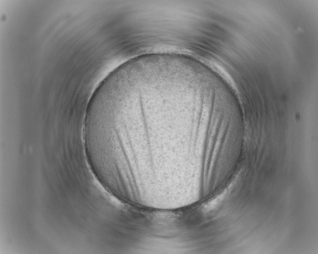 X0000089380847200707061137