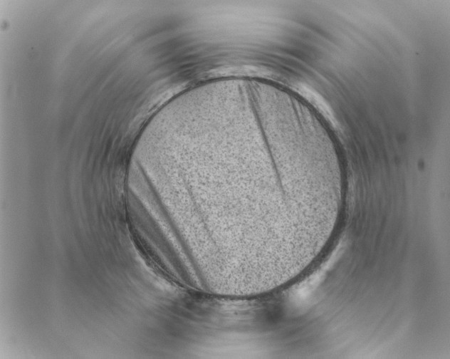 X0000089380849200707061137