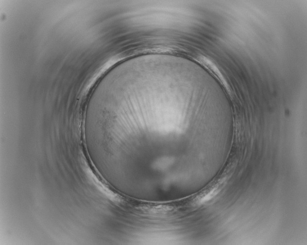 X0000089380851200707061137