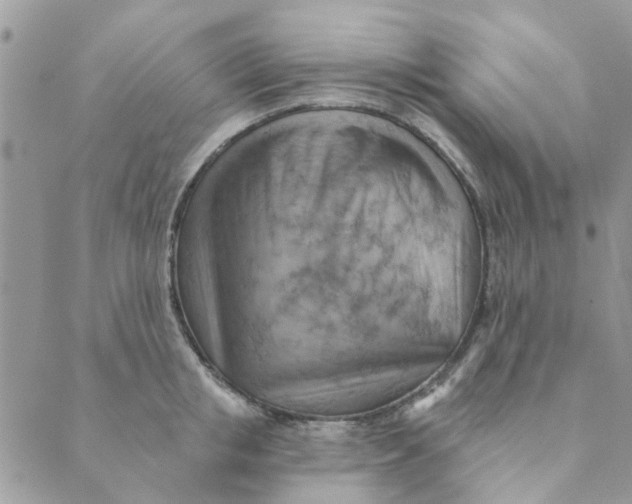 X0000089380853200707061137