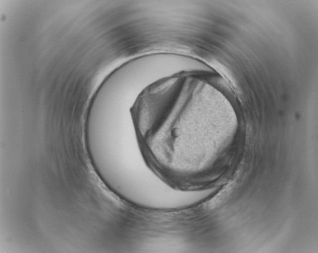 X0000089380854200707061137