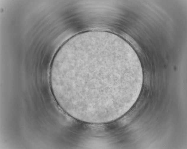 X0000089380856200707061137