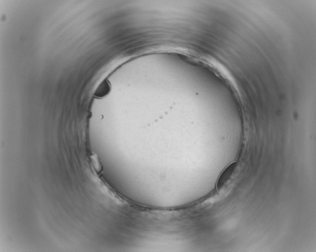 X0000089380860200707061137