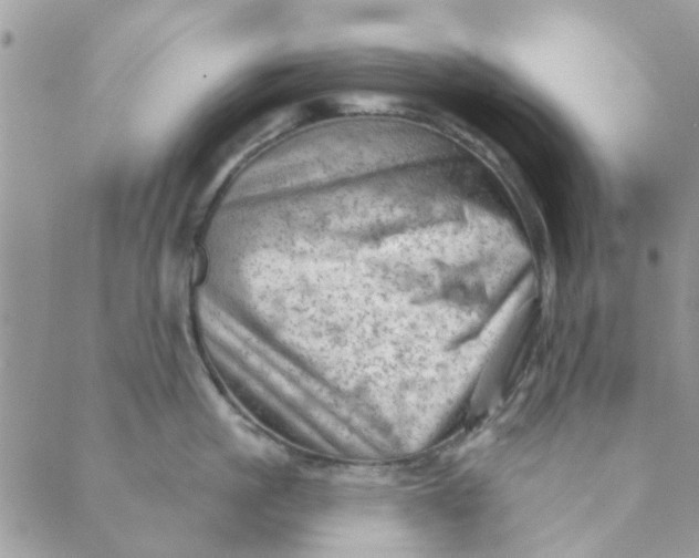 X0000089380861200707061137