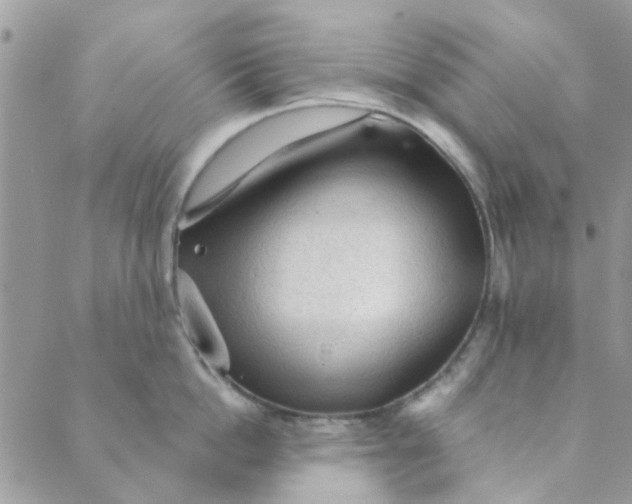 X0000089380862200707061137