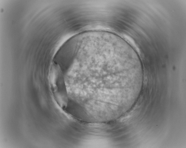 X0000089380863200707061137