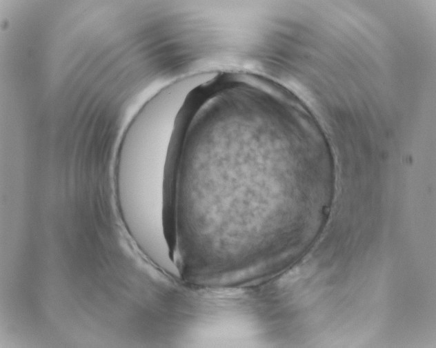 X0000089380864200707061137