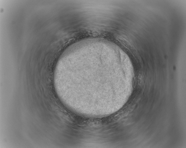 X0000089380865200707061136