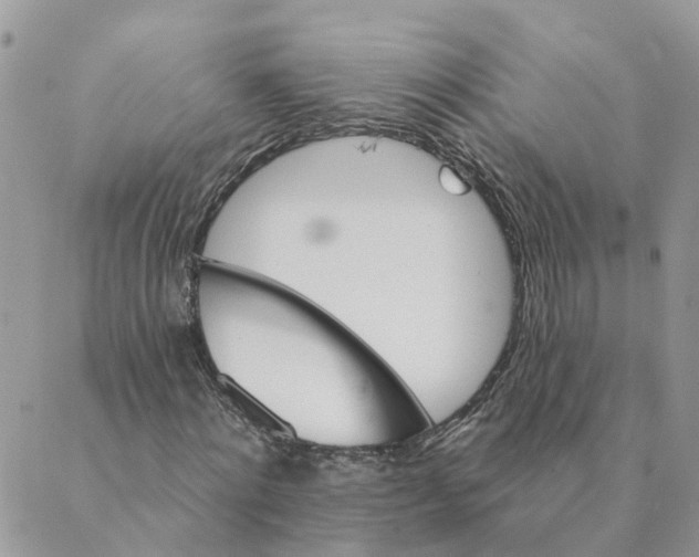 X0000089380868200707061136