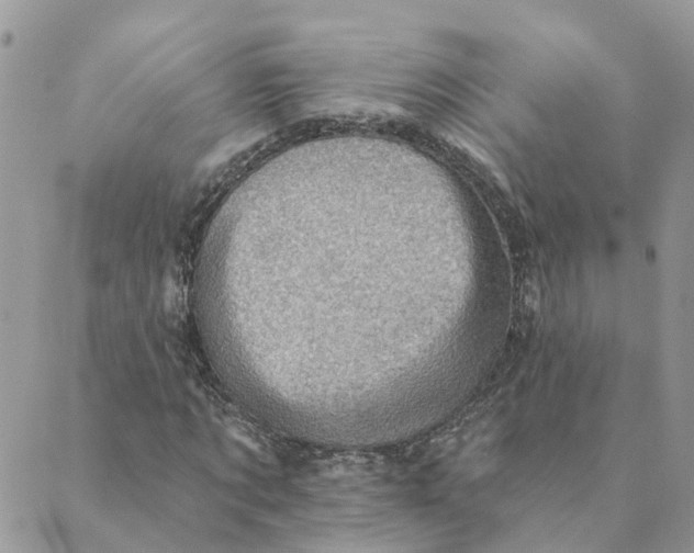 X0000089380869200707061136