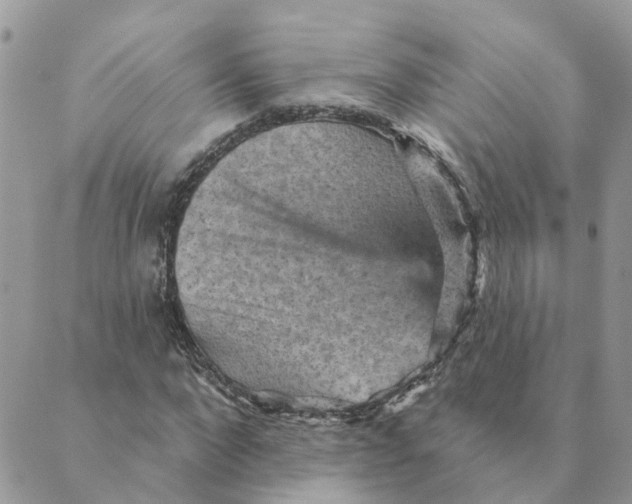 X0000089380872200707061136