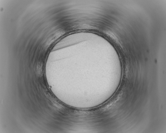 X0000089380873200707061136