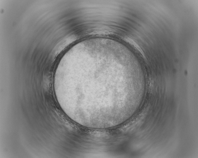 X0000089380874200707061136