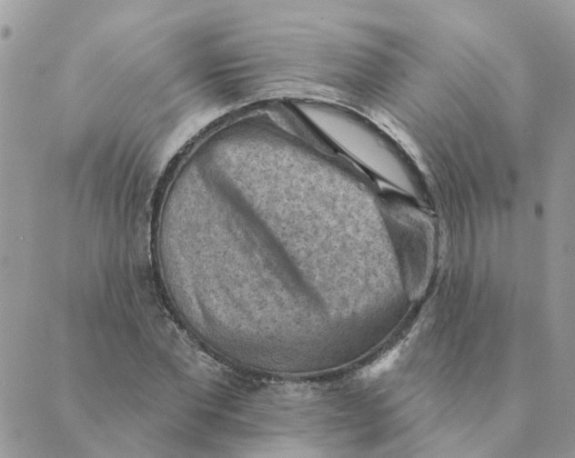 X0000089380877200707061136