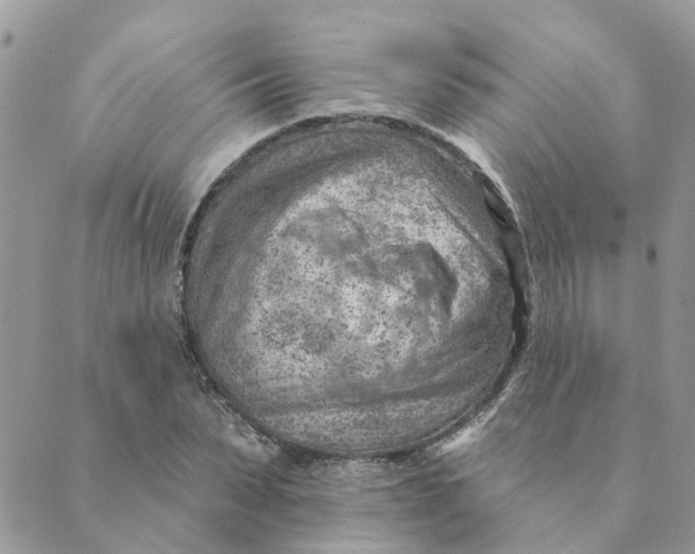 X0000089380879200707061136