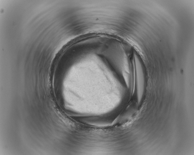 X0000089380880200707061136