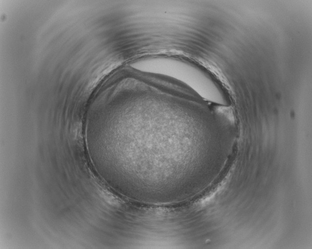 X0000089380881200707061136